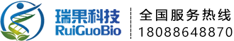 瑞果科技